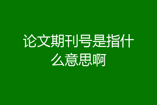 论文期刊号是指什么意思啊
