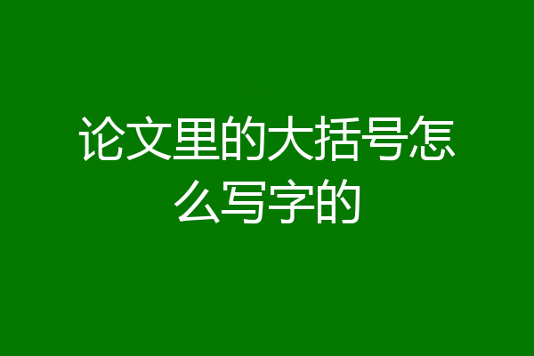 论文里的大括号怎么写字的