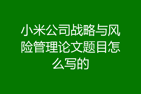 小米公司战略与风险管理论文题目怎么写的