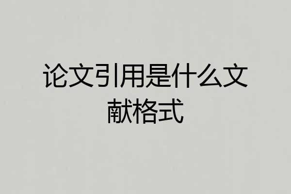 论文引用是什么文献格式