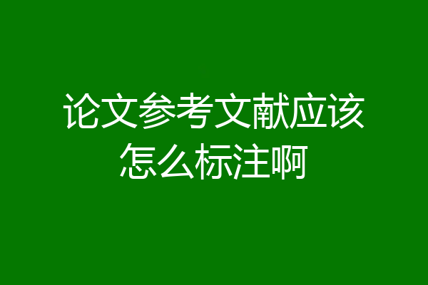 论文参考文献应该怎么标注啊