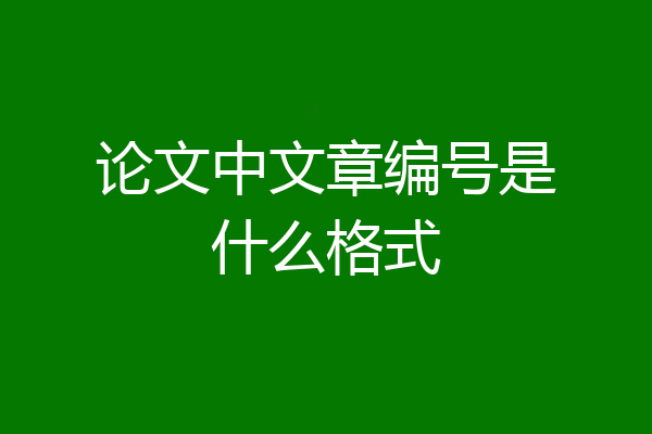 论文中文章编号是什么格式