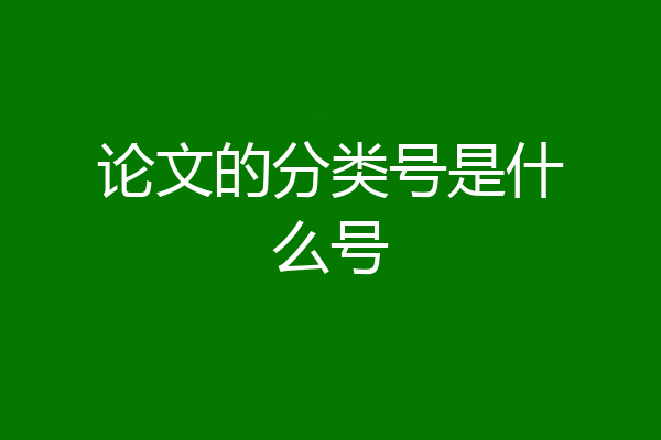 论文的分类号是什么号