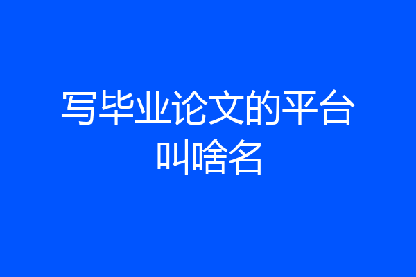 写毕业论文的平台叫啥名