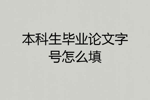 本科生毕业论文字号怎么填