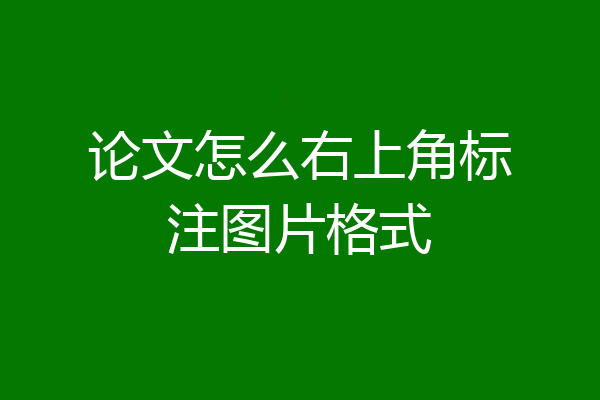 论文怎么右上角标注图片格式