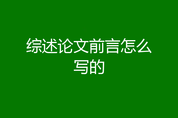 综述论文前言怎么写的