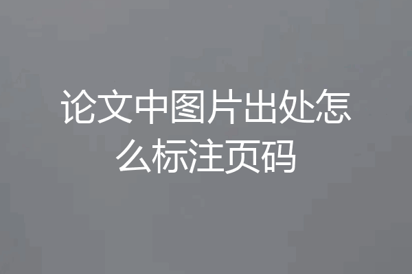 论文中图片出处怎么标注页码