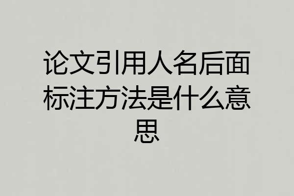 论文引用人名后面标注方法是什么意思