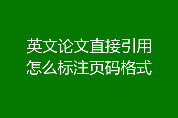 英文论文直接引用怎么标注页码格式