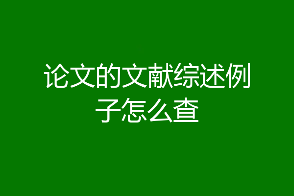 论文的文献综述例子怎么查