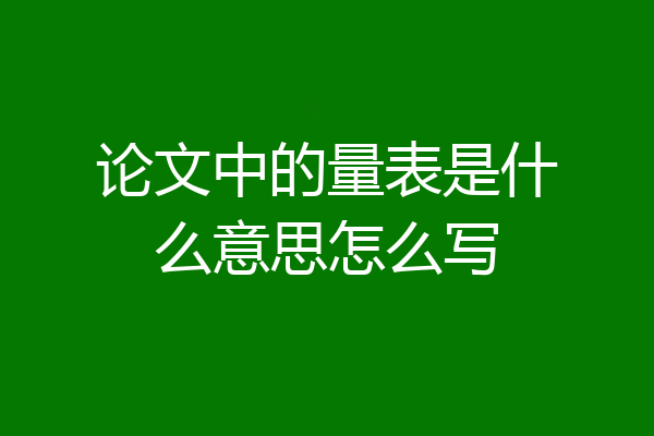 论文中的量表是什么意思怎么写