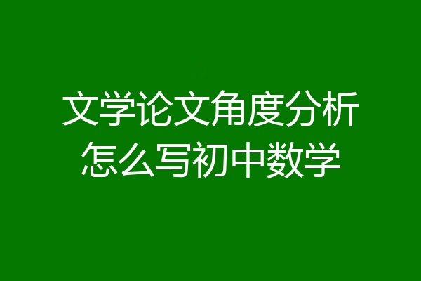 文学论文角度分析怎么写初中数学