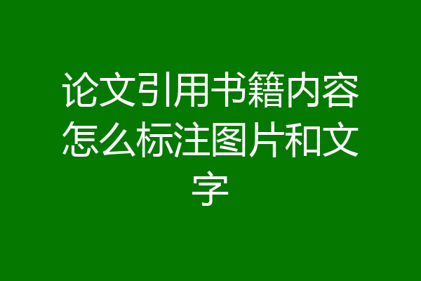 论文引用书籍内容怎么标注图片和文字