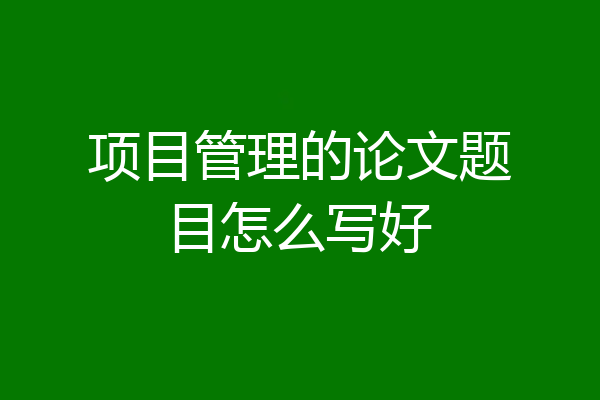 项目管理的论文题目怎么写好