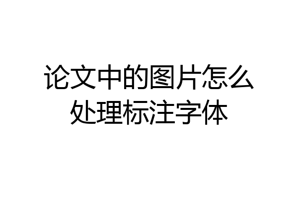 论文中的图片怎么处理标注字体