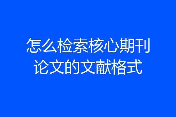 怎么检索核心期刊论文的文献格式
