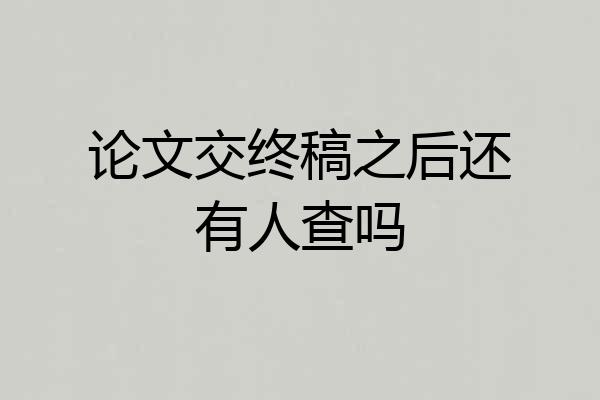 论文交终稿之后还有人查吗