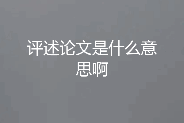评述论文是什么意思啊