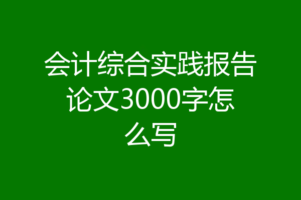 会计综合实践报告论文3000字怎么写