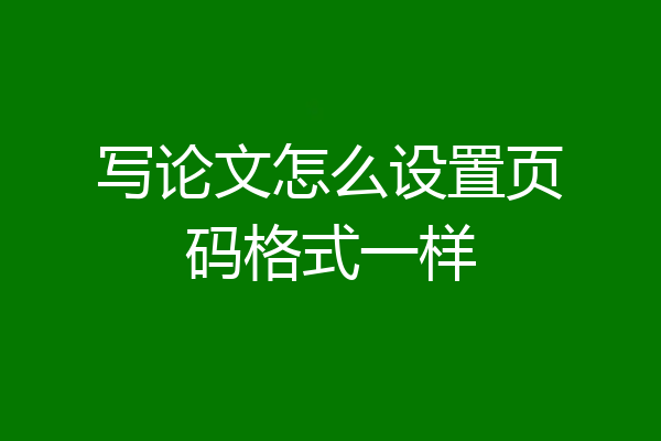 写论文怎么设置页码格式一样