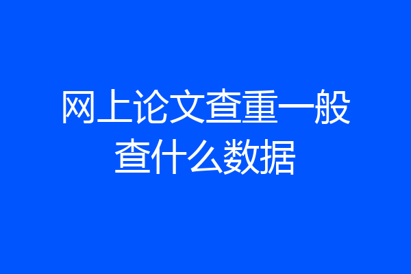 网上论文查重一般查什么数据