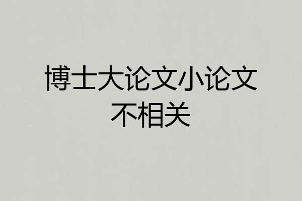 博士大论文小论文不相关