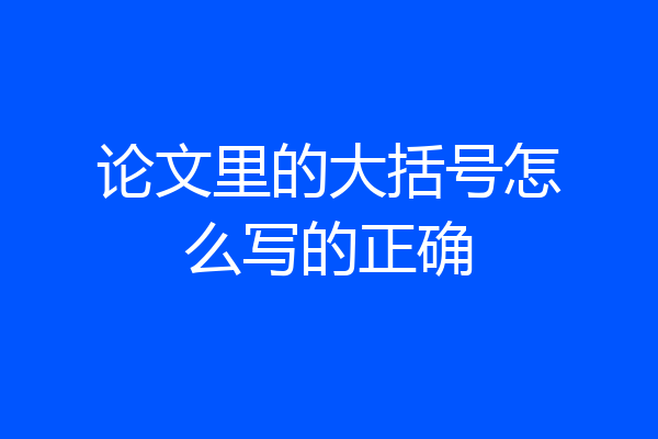 论文里的大括号怎么写的正确