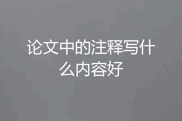 论文中的注释写什么内容好