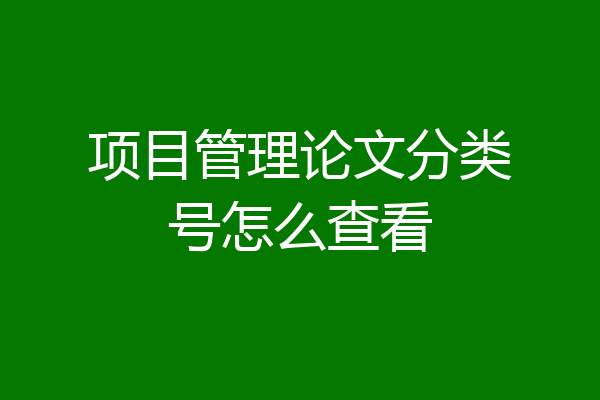项目管理论文分类号怎么查看
