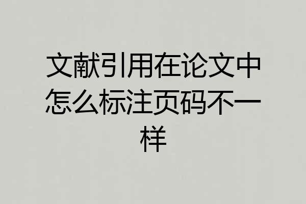 文献引用在论文中怎么标注页码不一样