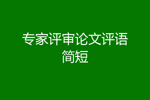 专家评审论文评语简短