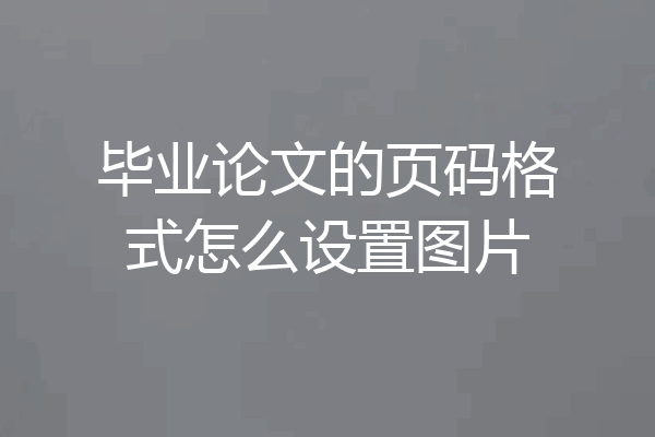毕业论文的页码格式怎么设置图片