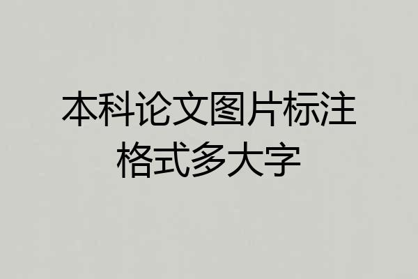 本科论文图片标注格式多大字