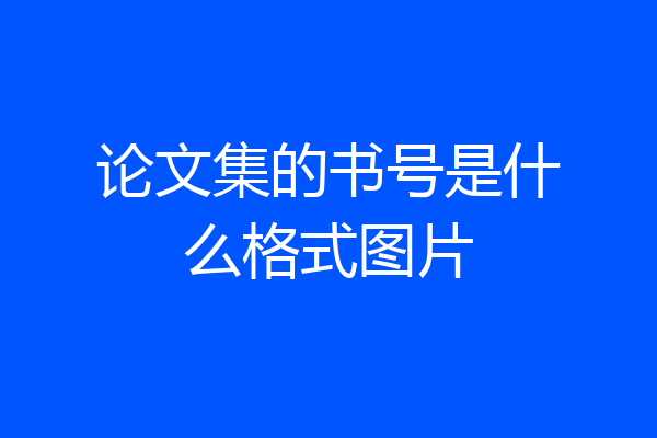 论文集的书号是什么格式图片