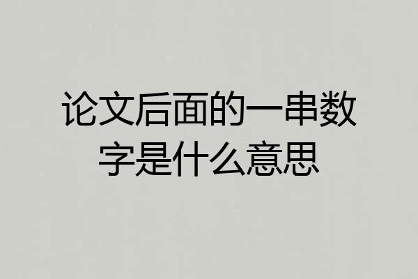 论文后面的一串数字是什么意思
