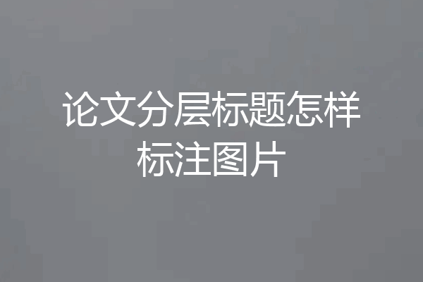 论文分层标题怎样标注图片