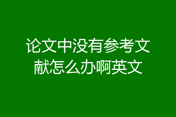 论文中没有参考文献怎么办啊英文