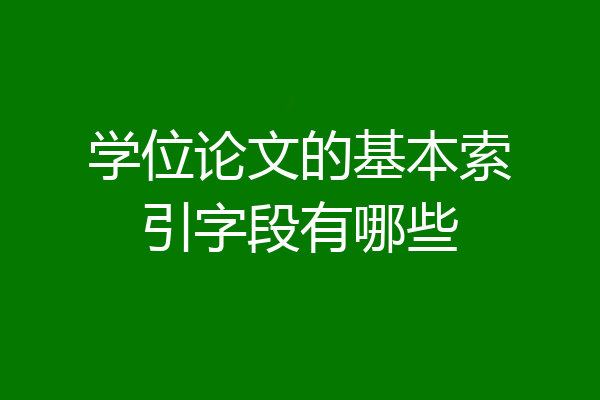 学位论文的基本索引字段有哪些