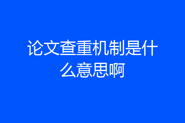 论文查重机制是什么意思啊