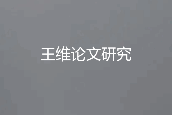 王维论文研究