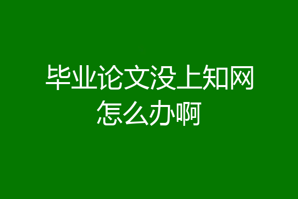 毕业论文没上知网怎么办啊
