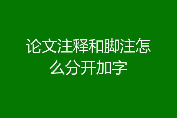 论文注释和脚注怎么分开加字