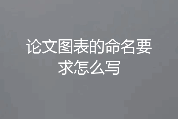 论文图表的命名要求怎么写