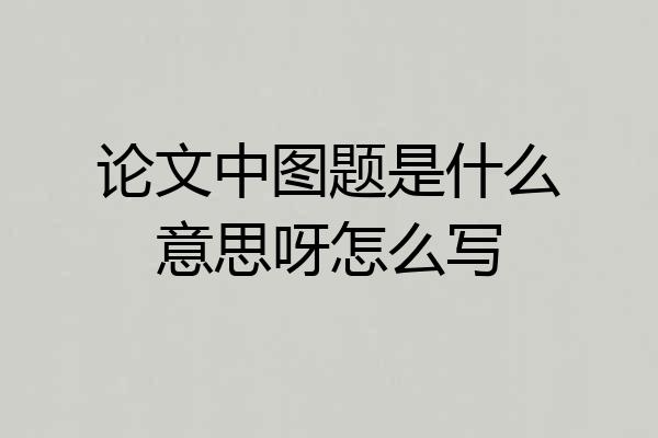 论文中图题是什么意思呀怎么写