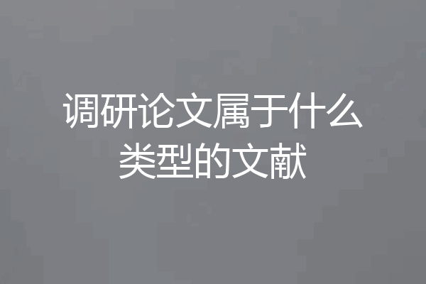 调研论文属于什么类型的文献