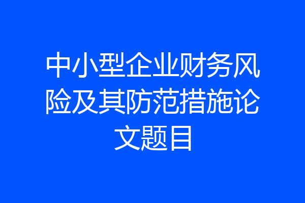 中小型企业财务风险及其防范措施论文题目