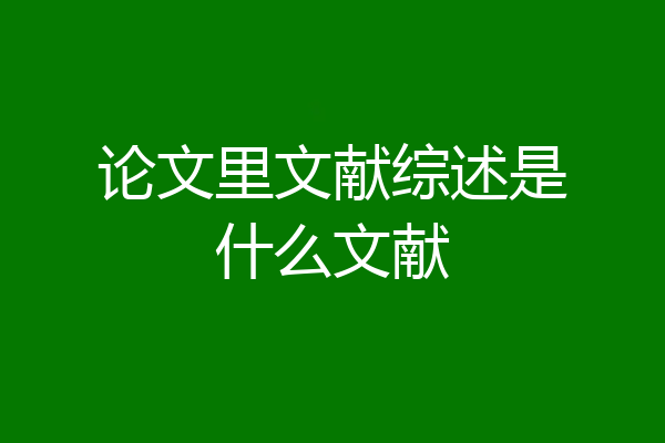 论文里文献综述是什么文献