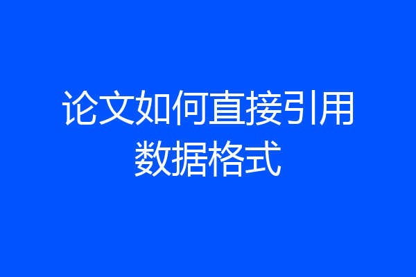 论文如何直接引用数据格式