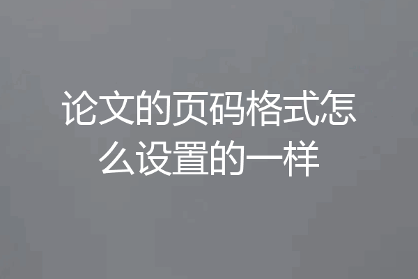 论文的页码格式怎么设置的一样